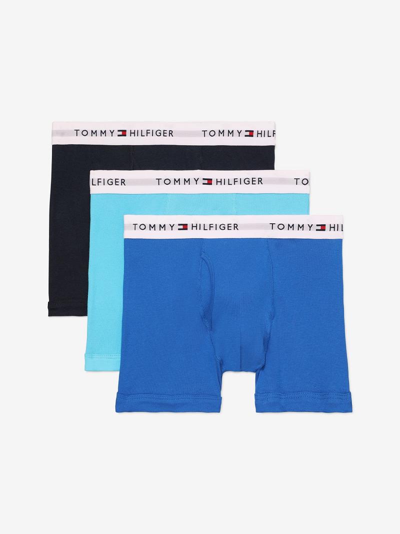 Férfi Tommy Hilfiger Classic cotton trunk 3pk Trunks Sötétkék Kék | HU 1274DFM